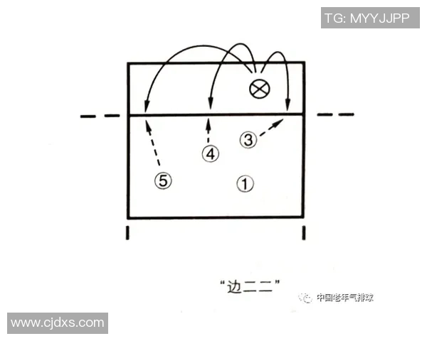 南京排球队战术深度解析与对比分析探讨